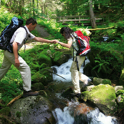 In der Hohwehraschlucht, fnfte Etappe