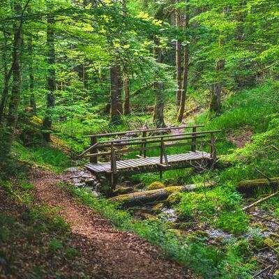 Hohwehraschlucht � Dirk D�bele