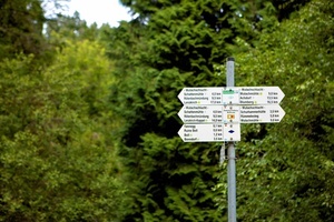 Der Weg ist frei Der Weg ist frei