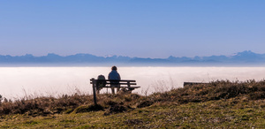 Alpensicht bei der Panoramatafel Dachsberg-Horbach