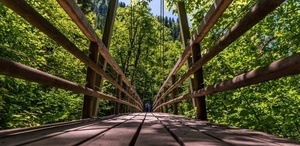 Brücke in der Wutachschlucht Brücke in der Wutachschlucht